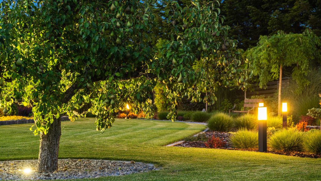 Garden Lighting Ideas